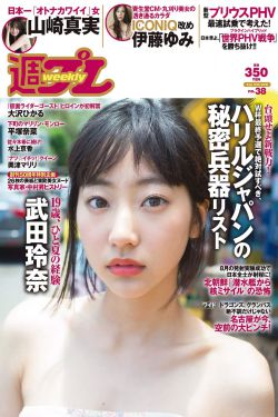 四平警事之钻石大劫案免费观看